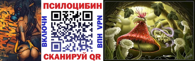 Галлюциногенные грибы Psilocybine cubensis  Гатчина 