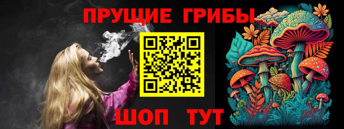 Псилоцибиновые грибы Cubensis  магазин  наркотиков  Гатчина  Вход с VPN 